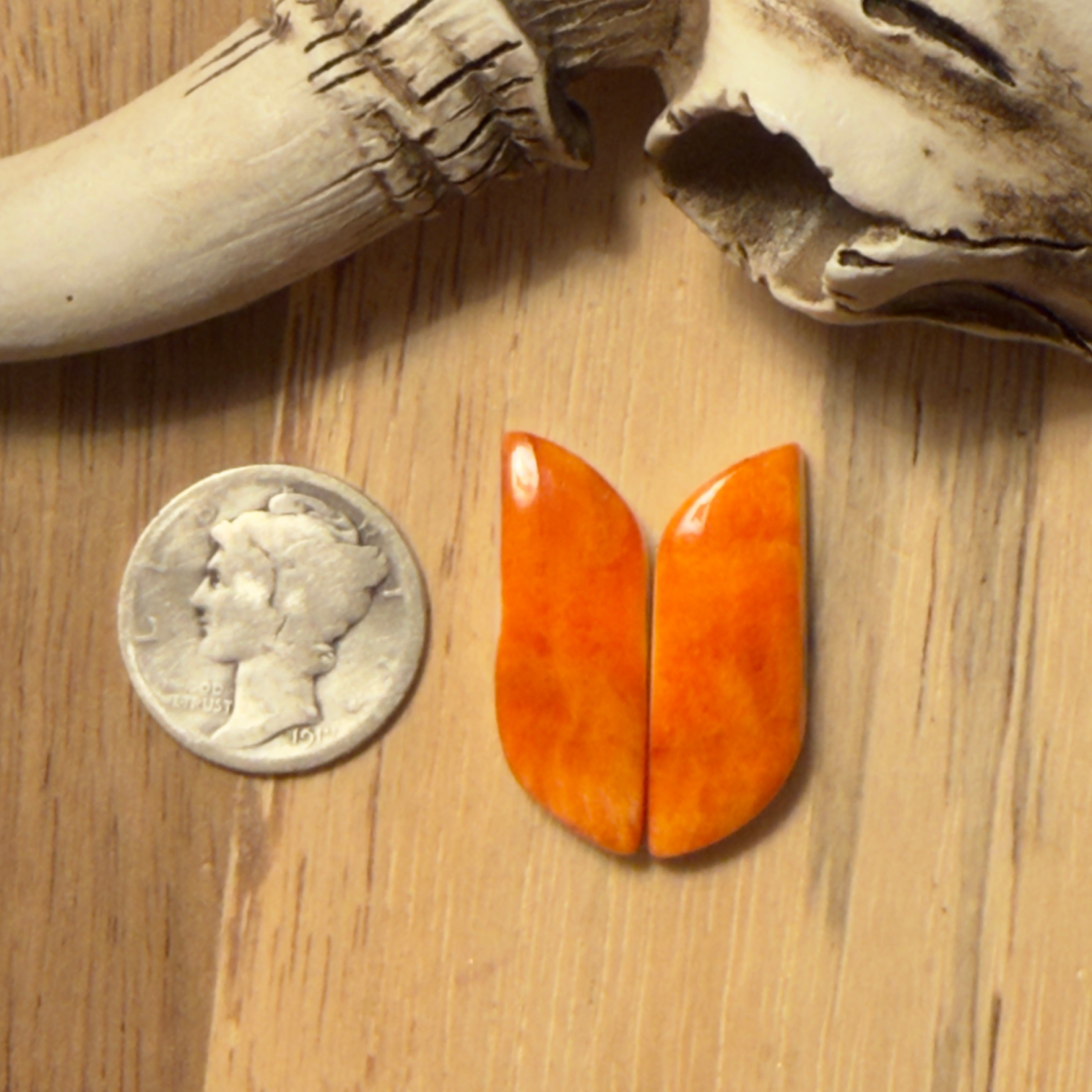 Orange Spiny Oyster Matching Pair